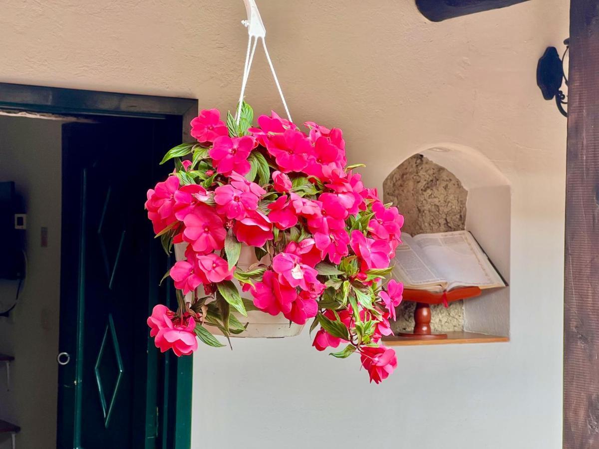 Hotel San Gabriel El Cocuy Εξωτερικό φωτογραφία